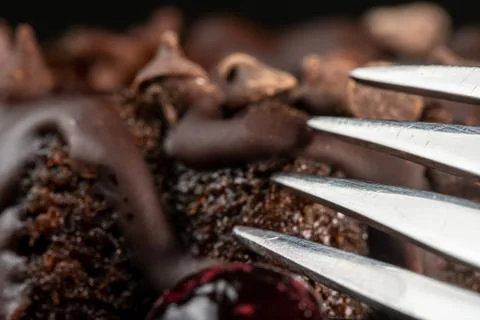 Small Chocolate Bunt cake with a fork. Stock Photos