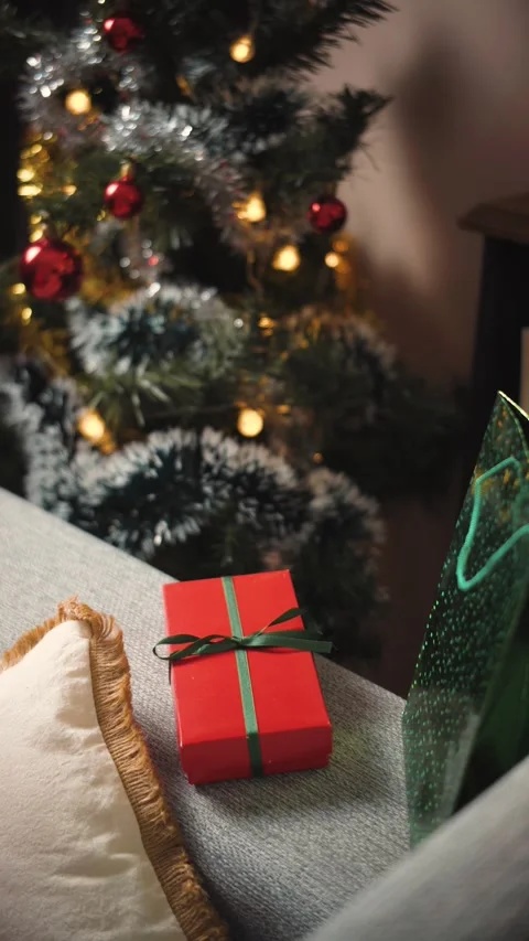 Small Christmas gift displayed in front of a decorated Christmas tree, creating  Stock Footage 346160022