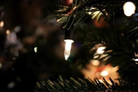 The  small christmas light on the tree Stock Photos