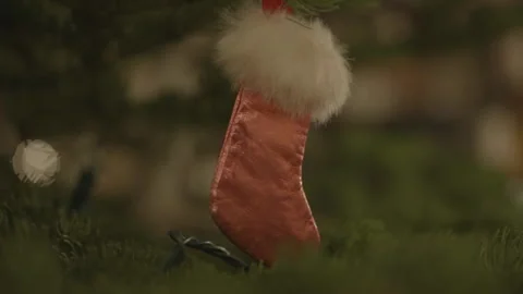 Small Christmas stocking hanging on pine tree 库存影片 334031753