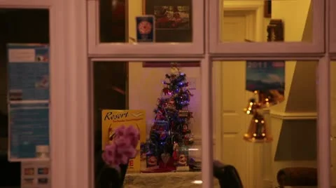 Small christmas tree 3567 Stock Footage 10584128