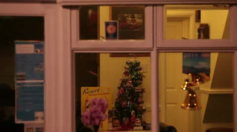 Small christmas tree 3568 Stock Footage 10584434