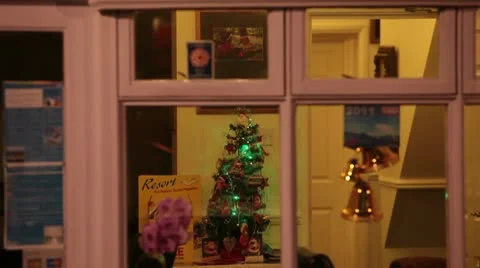 Small christmas tree 3569 Stock Footage 10584299