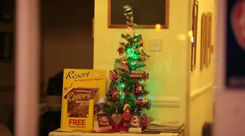 Small christmas tree 3573 Stock Footage 10584473