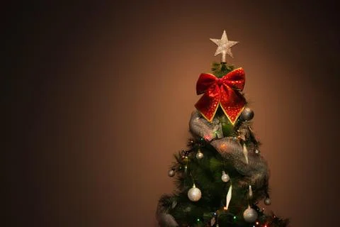 A small christmas tree Stock Photos