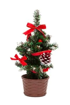 Small Christmas tree Foto stock