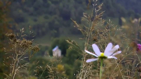 Small church in the mountains Stock Footage 70848564