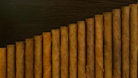 Small cigars lined up. Natural leaf tobacco Stock Photos