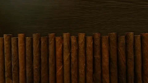 Small cigars lined up. Natural leaf tobacco Stock Photos