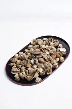 Small Clam Shells or called kerang darah in Asia On Black Plate Create Coas.. Stock Photos