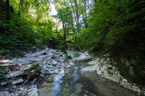 Small clean mountain river waterfall and green overgrown river banks Stock Photos