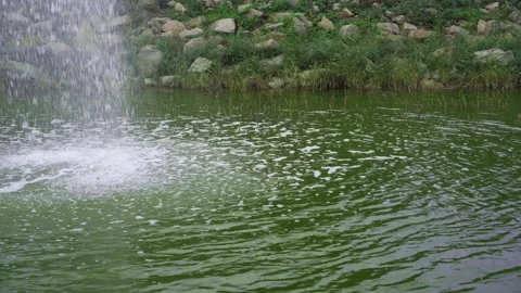 A small clean pond with a waterfall. It's a beautiful place to stay. Video stock 143095590