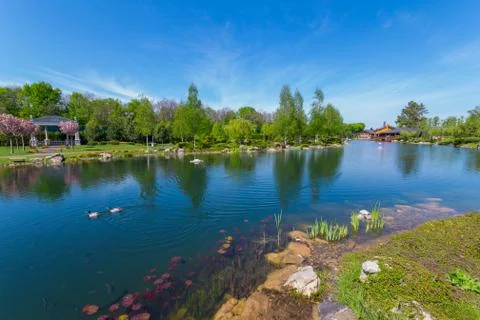 A small, clean river in which ducks swim and a lot of fish. A place to relax  Stock Photos