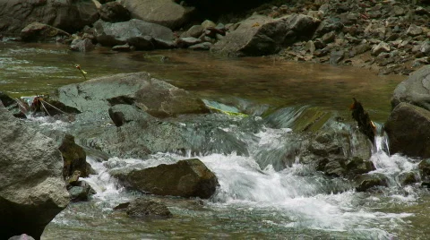 Small Clean water River rapid Video stock 555242