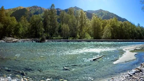 Small clear cold river with boulder stones in Arkhyz mountain ridge 写真素材