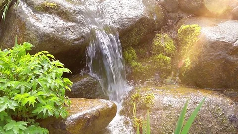 Small clear creek flowing over cobblestones Stock Footage 74847892