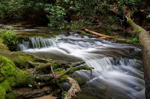 Small clear flowing mountain stream 库存照片