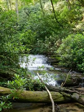 Small clear flowing mountain stream 写真素材