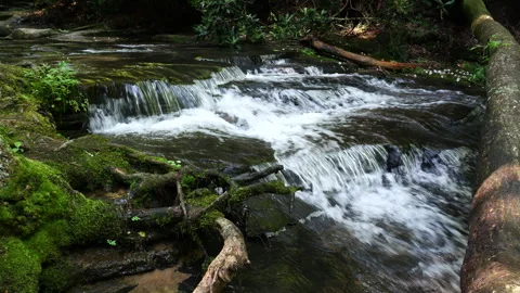 Small clear flowing stream deep in the mountains 動画素材 312299064