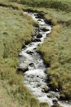 A small, clear stream flows over rocks through a grassy landscape, Georgia Stock Photos