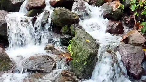 A Small, Clear Waterfall Cascades Down Mossy Rocks Stock Footage 339317535