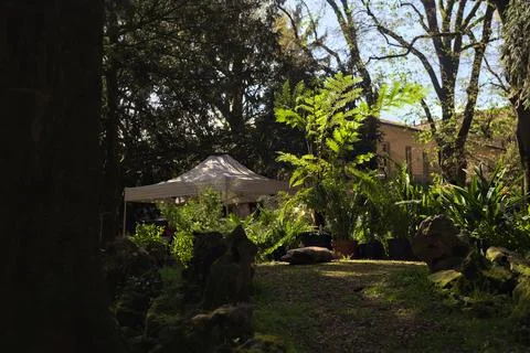 Small clearing in a park Stock Photos