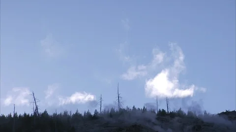 Small cloud tufts drift past row of dead pine trees at Yellowstone. Stock Footage 86755805