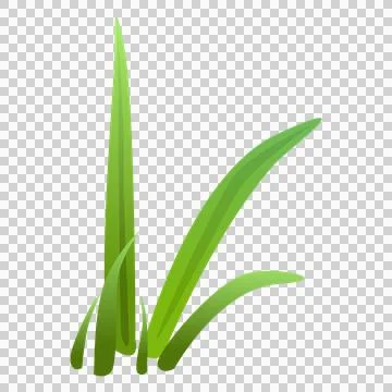 A small cluster of long green grass blades reaching upward. Illustration