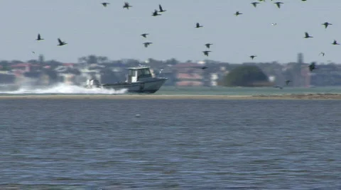 Small Coast Guard Boat Stock Footage 312475