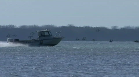 Small Coast Guard Boat 스톡 동영상 313289