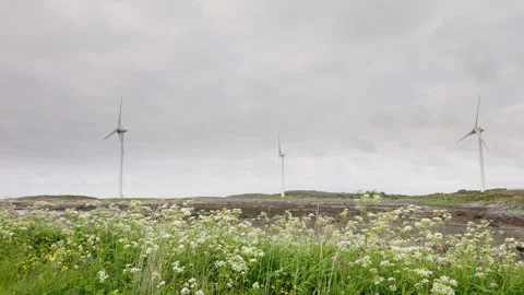 Small coastal wind turbines on a cloudy day landscape. Video stock 337049071
