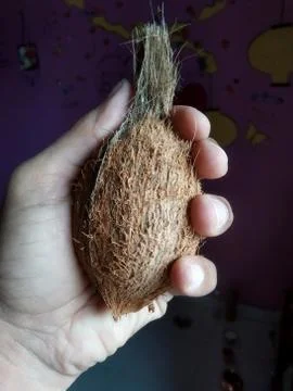A small coconut in hand Stock Photos