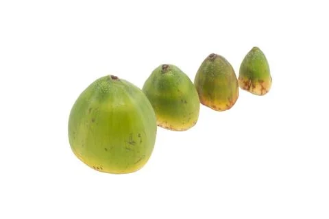 The small coconuts Stock Photos