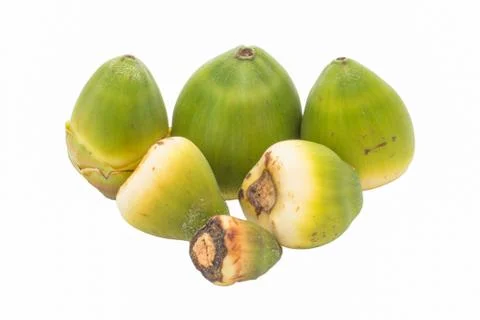 The small coconuts Stock Photos