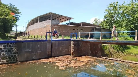 Small concrete bridge connecting remote village paths amidst tranquil greenery Stock Footage 261044407