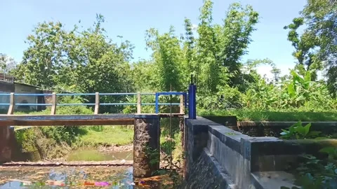 Small concrete bridge connecting remote village paths amidst tranquil greenery Stock Footage 261045052
