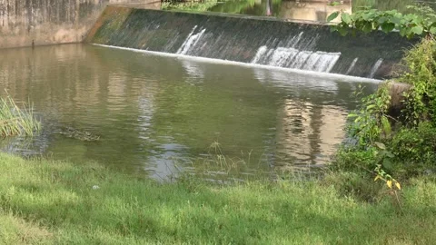 A small concrete dam spans the river. Stock Footage 328835683