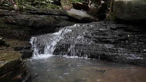 Small Cornelius 4155 Stock Footage 132062959