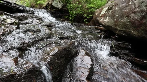 Small Cornelius 4161 Stock Footage 132062960