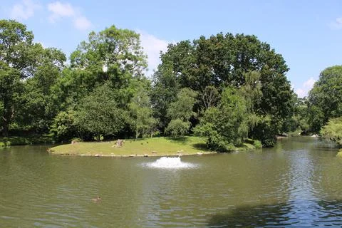 Small corner with water in the forest Foto stock