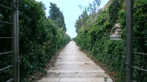 Small corridor with trees when raining
מעבר בין בית המשפט העליון לכנסת Stock Footage 142979214