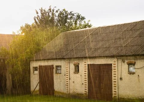 Small cottage by the trees captured under the pouring rain Stock Photos