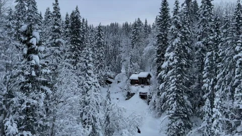 Small cottage in a wintry landscape  Stock Footage 168301387