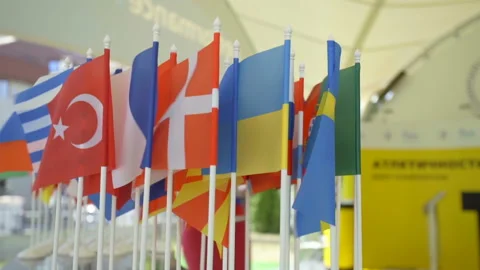 Small country flags waving in the wind. Flag of the Russian Federation Stock Footage 126353668