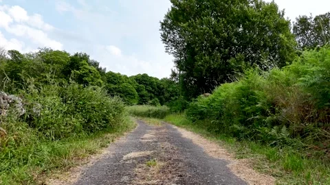 Small country road surrounded by forests. Drone Stock Footage 315032021