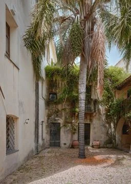 A small courtyard with a date palm tree with fruit on the ground in Europe Stock Photos