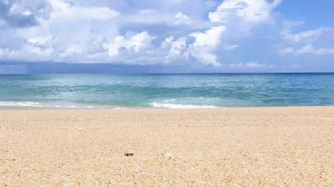 Small crab on a beautiful sandy beach. 库存影片 95770156
