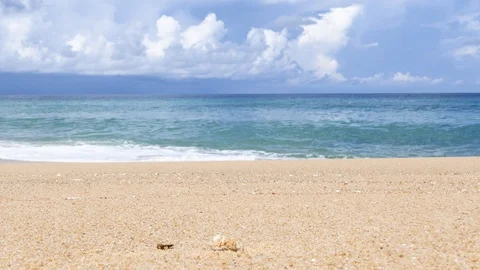 Small crab on a beautiful sandy beach. Stock-Footage 95770201