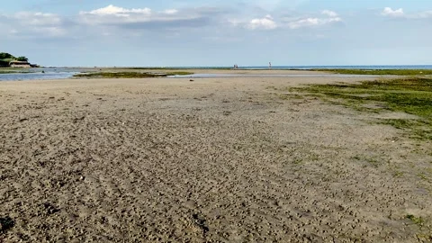 Small crabs run around the shallows at low tide and, in case of danger, bury Stock Footage 241582319