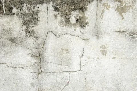 Small cracks on old cement surface with mold on surface Foto stock